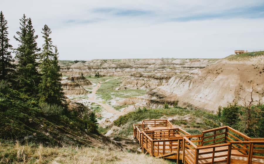 Drumheller: Dinosaurs, Canyons, & Hoodoos Day Tour - Royal Tyrrell Museum: Canada’s biggest dinosaur fossil focus