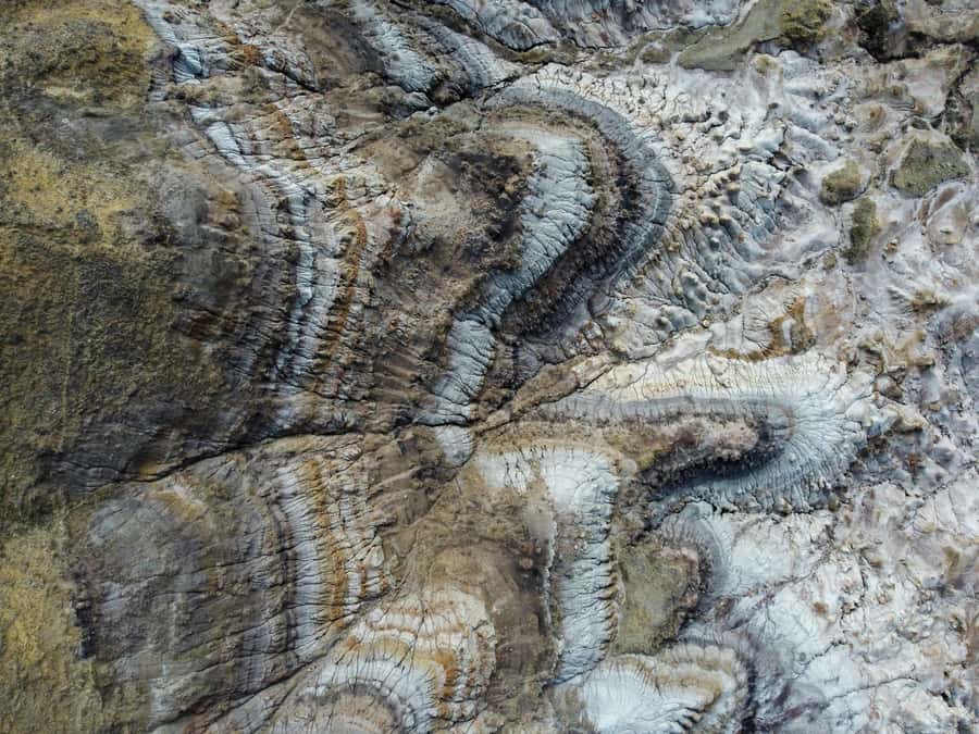 Drumheller: Dinosaurs, Canyons, & Hoodoos Day Tour - CrossIron Mills Outlet: shopping time you should plan for