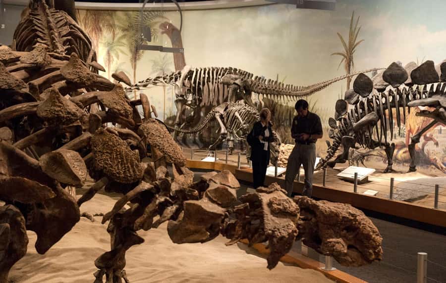 Drumheller: Dinosaurs, Canyons, & Hoodoos Day Tour - Guides matter: bilingual, upbeat, and keeping the pace clear