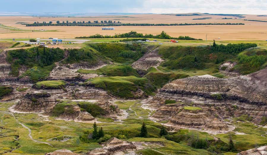 Drumheller: Dinosaurs, Canyons, & Hoodoos Day Tour - Price and value: is $119 worth a full day like this?