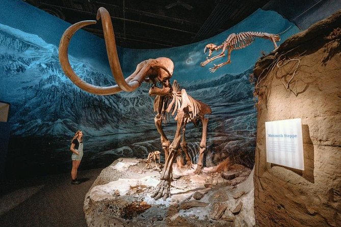 Drumheller: Royal Tyrrell Museum, Hoodoos and Horseshoe Canyon - Key Highlights You’ll Care About