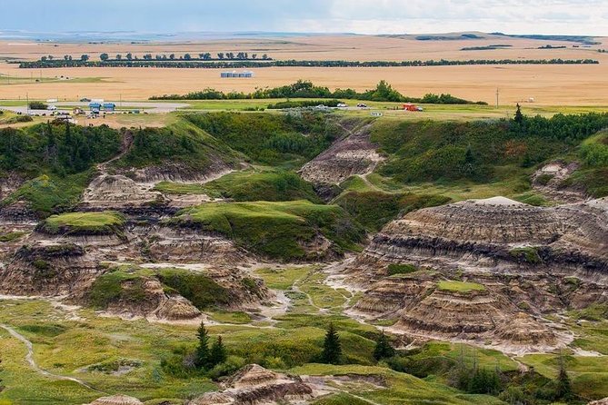 Drumheller: Royal Tyrrell Museum, Hoodoos and Horseshoe Canyon - Royal Tyrrell Museum: The Dinosaur Stop That Can Make or Break the Day
