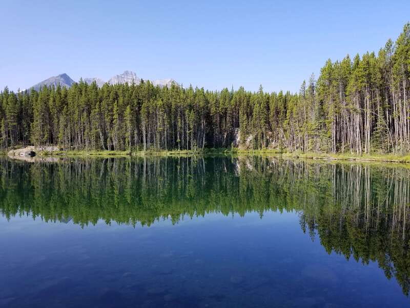 From Calgary/Banff: Columbia Icefield Glacier Full-Day Trip - Peyto Lake and the short hike: classic views with real walking
