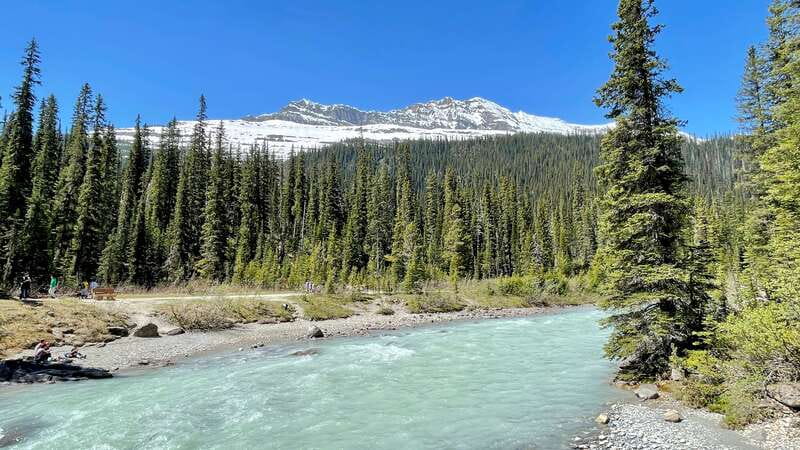 From Calgary: Banff & Yoho National Parks Private Day Tour - Private Group Comfort, Park Fees, and What You’ll Pay