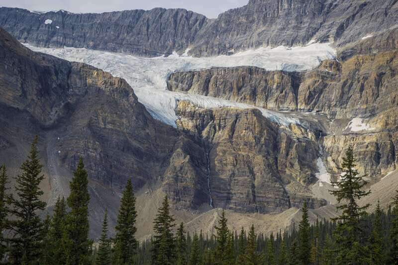 Icefield: Icefield Parkway, Bow Lakes & Peyto Lakes Day Tour - Who This Tour Suits Best