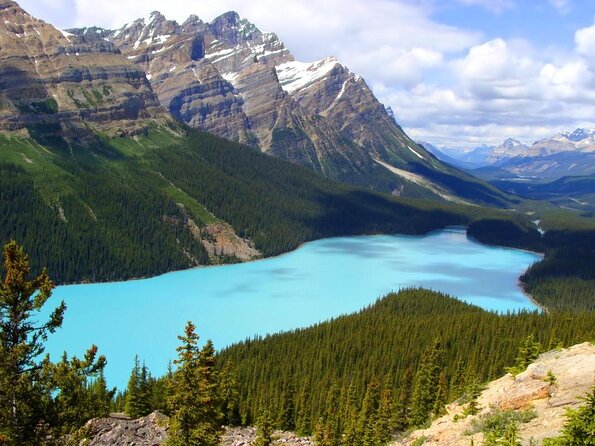 Icefields Pkwy: Lake Louise | Bow | Peyto|Glacier - PRIVATE TOUR - Key highlights you’ll care about