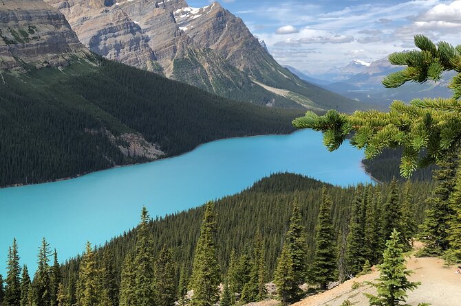 Icefields Pkwy: Lake Louise | Bow | Peyto|Glacier - PRIVATE TOUR - Stop 5: Peyto Lake for a Classic Glacier-Feeding Look