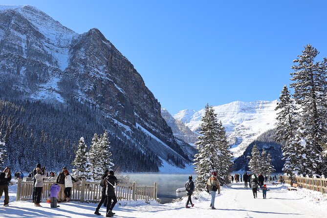 Johnston Canyon, Lake Louise & Banff: Small-Group Day Tour - Banff Avenue town time: lunch and browsing without stress