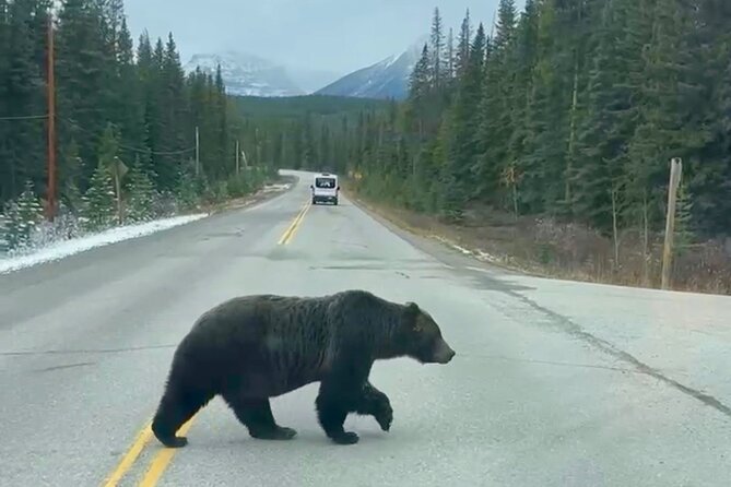 Johnston Canyon, Lake Louise & Banff: Small-Group Day Tour - Surprise Corner and Vermilion Lakes: short stops, strong returns