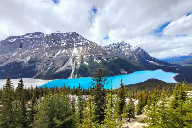 Lake Louise, Moraine Lake, Peyto Lake, Crowfoot, Johnston Canyon - Calgary to Banff: the morning flow that keeps the day sane