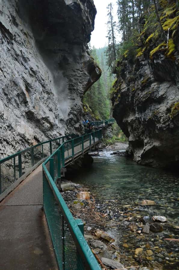 Moraine Lake Louise Emerald Johnston Canyon Banff Yoho Tour - Johnston Canyon: waterfalls, viewpoints, and the hike you shouldn’t ignore