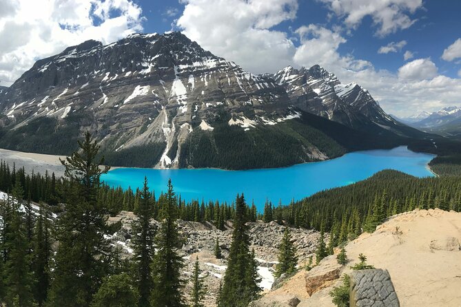 Private Tour Banff Yoho Jasper National Park for a Small Group - The Real Secret Sauce: Your Guide, Your Pace, and the Vehicle Comfort