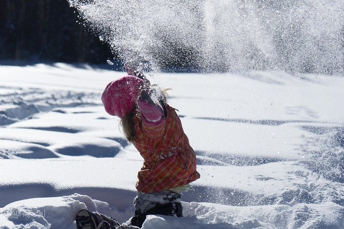 Snowshoeing in Kananaskis - Key Things You’ll Notice on This Snowshoe Tour