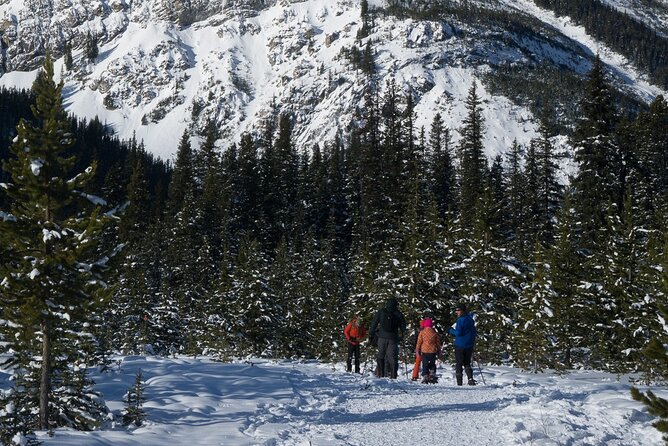 Snowshoeing in Kananaskis - What’s Actually Included (and Why It Changes the Value)