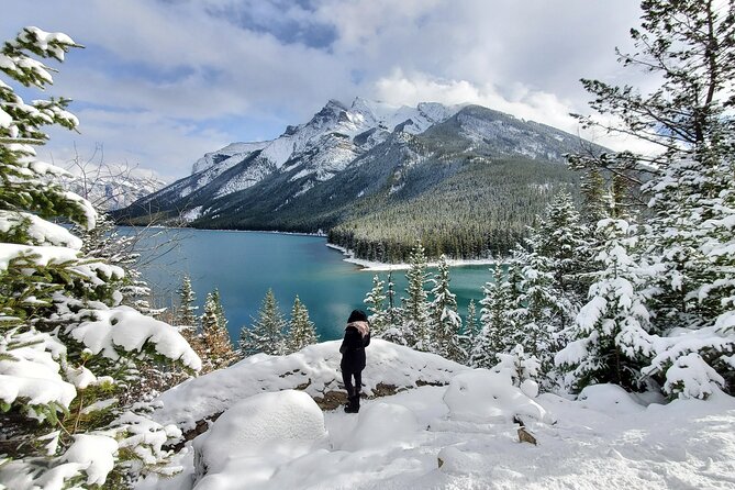 Spectacular Banff Day - Gondola Included - Sulphur Mountain Gondola first: the view that resets your day