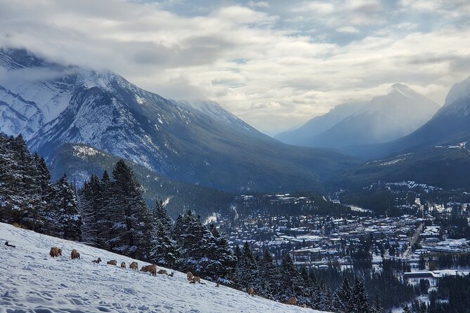 Spectacular Banff Day - Gondola Included - The small-group van ride from Calgary (and how pickup really works)
