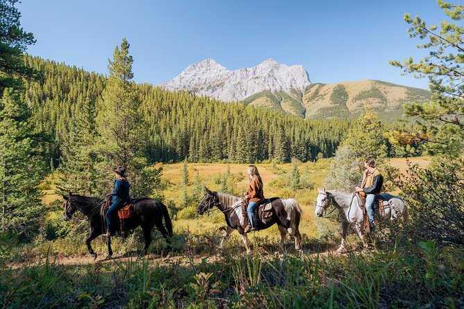 Valley Vista 1.5 Hour Horseback Trail Ride in Kananaskis - Valley Vista at Boundary Ranch: what you’re paying for
