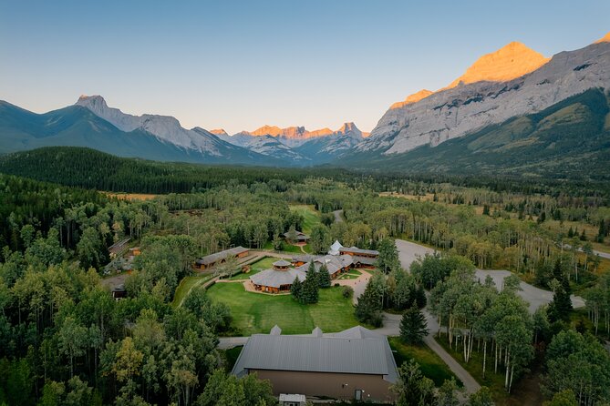 Valley Vista 1.5 Hour Horseback Trail Ride in Kananaskis - Buffalo herd moment: the wildlife part you’ll actually remember