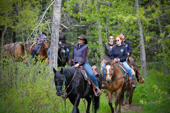 Valley Vista 1.5 Hour Horseback Trail Ride in Kananaskis - Who this ride suits best (and who should think twice)