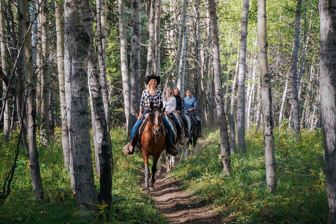 Valley Vista 1.5 Hour Horseback Trail Ride in Kananaskis - The 1.5-hour trail ride: Boundary Ranch in one continuous story