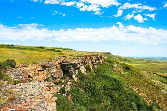 Waterton-Glacier International Peace Park | Be a Wildflower - Key highlights to look for