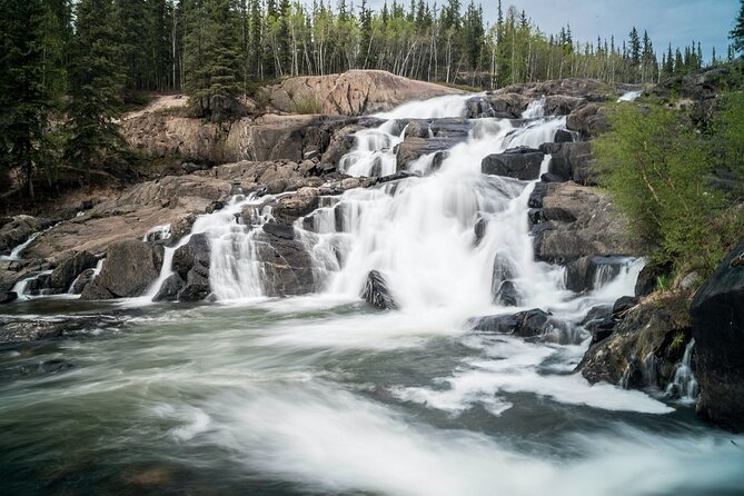 Waterton Lakes National Park Scenic Day Tour from Calgary - Buffalo Paddock (or Okotoks Big Rock): wildlife odds and the backup plan